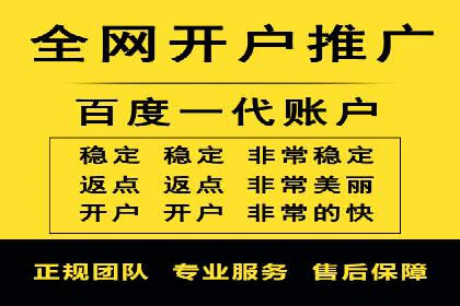 SEM广告创意与执行：成功案例分享